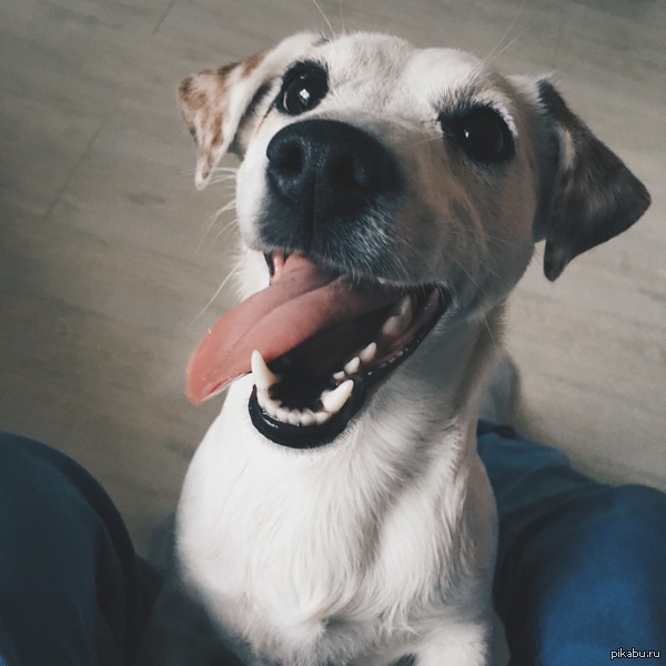 �������� ������ ����� ��� ����������