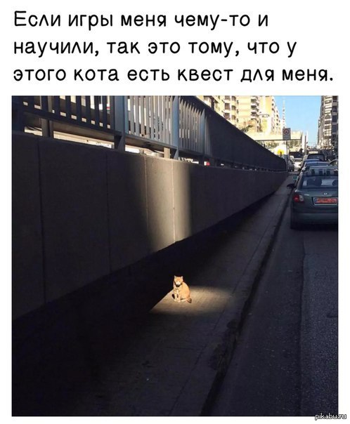    (   ,  ,  