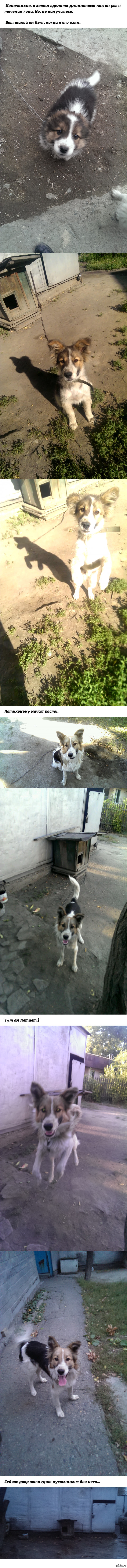 ���������� ��� ��� ������... ���������� ������...