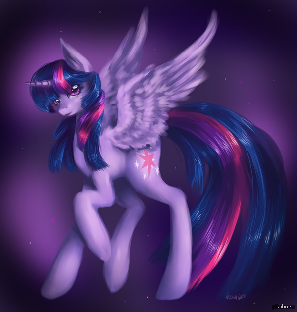    Twilight Sparkle 