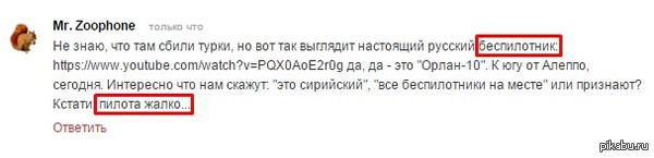 Пилота жалко