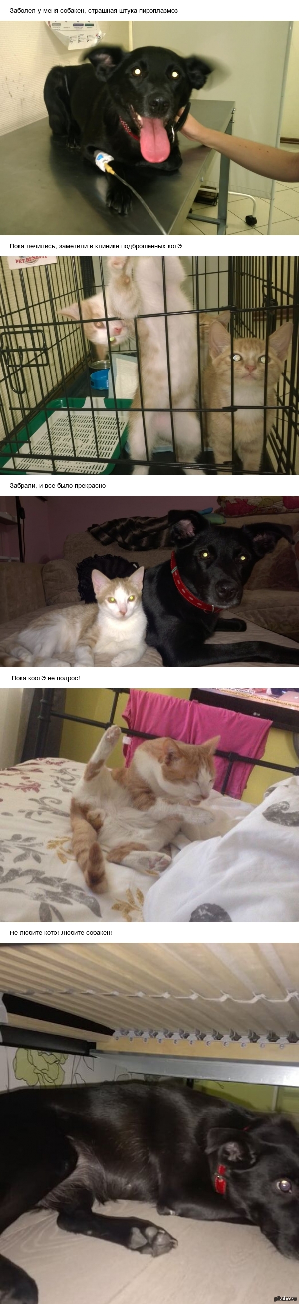 Превратности судьбы