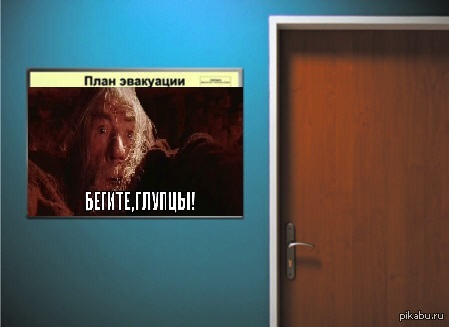 ���� ���������