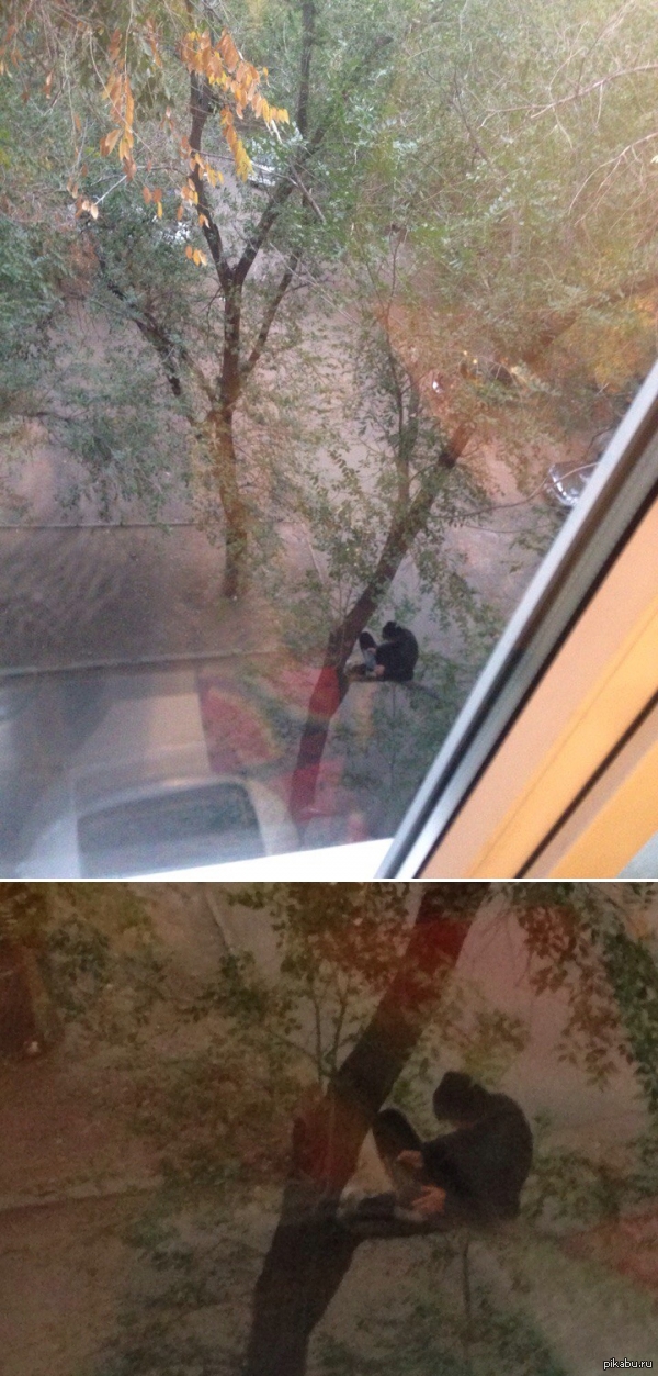 ��� ��������� ���������.