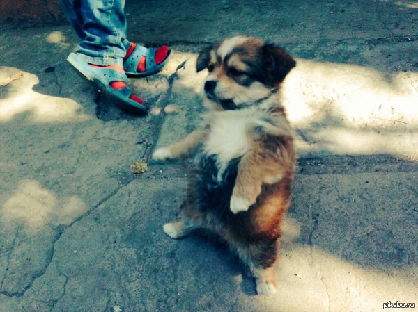 ������������ ������-��������