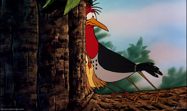 Динки и Бумер - пернатые друзья моего детства