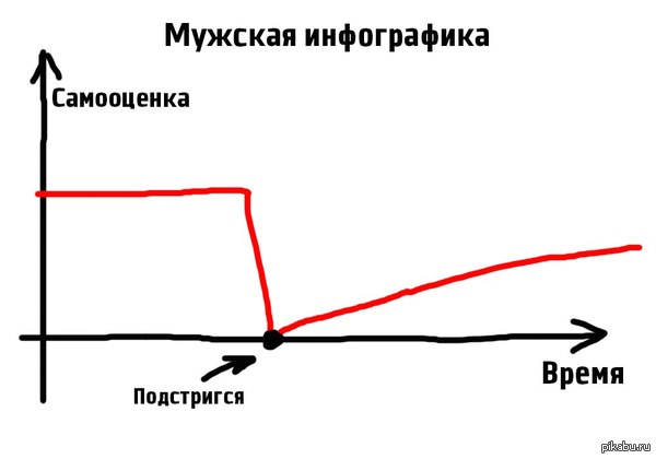 Геометрия жизни