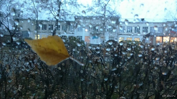 ����� �� ������� ����