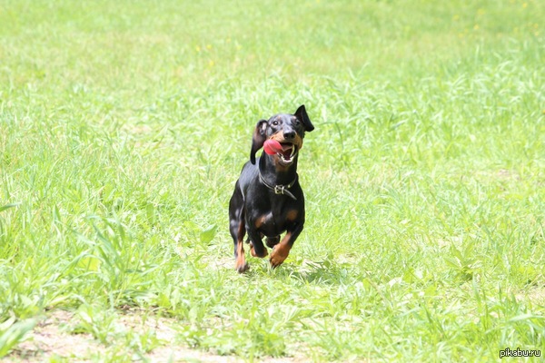 ������ ������� �������