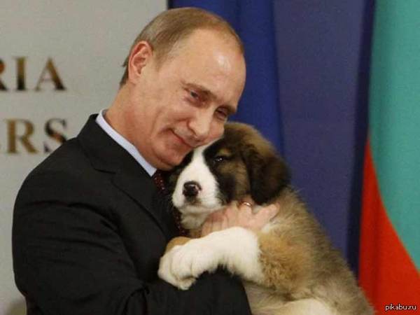        ,   ,   ,  ,       ))