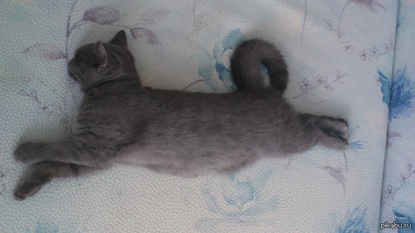 ����� �� ����� ����� �������� "����"