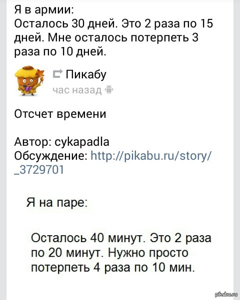 ����� �������