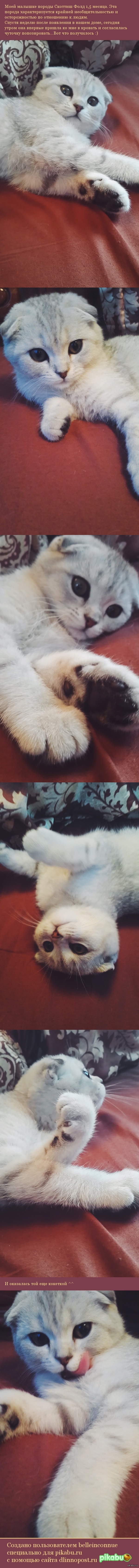 Немного милоты моим дорогим подписчикам