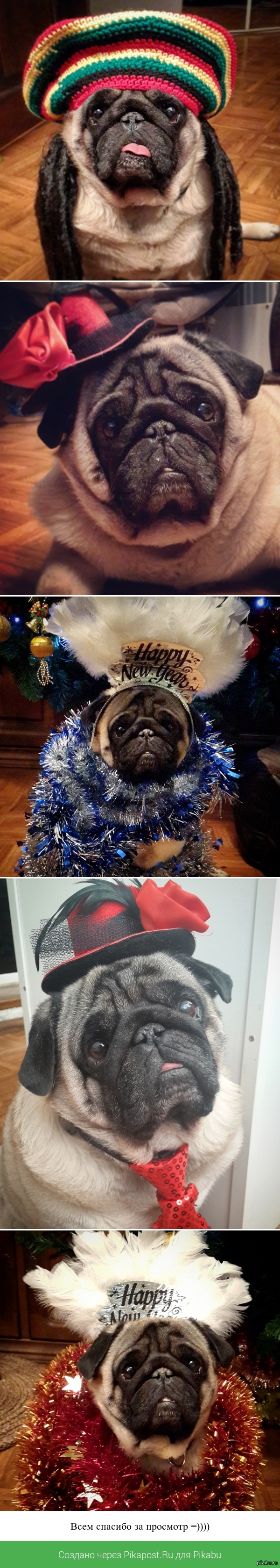 �� �������, ����� ���� ������ ������������� ����