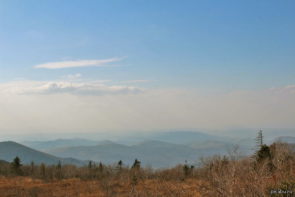 ���� �������, 1230�