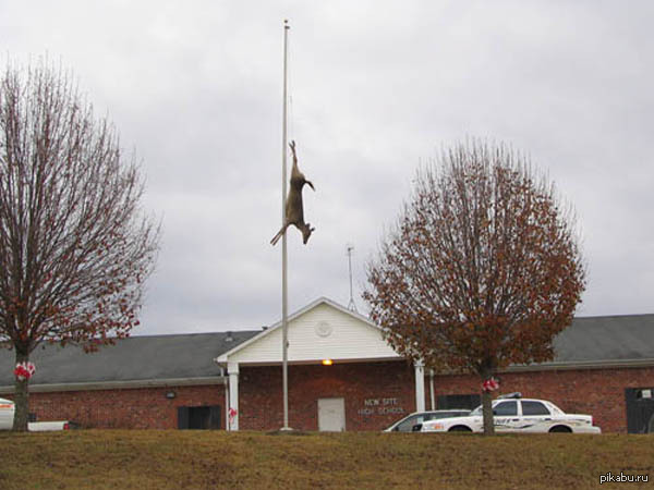 Что там вообще происходит???