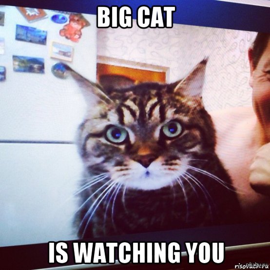 ������� ������� ������ �� ����