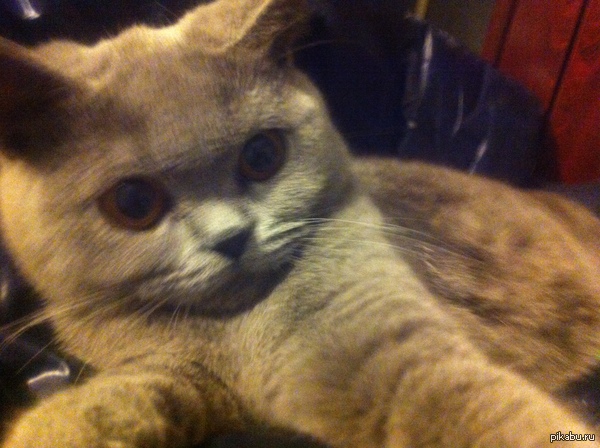 � ������� ������� ����� ��� � �������, � ������ � ���� ������ ����� ������� ��� �����. #1