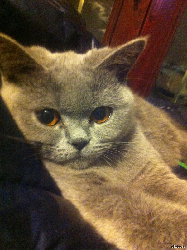 � ������� ������� ����� ��� � �������, � ������ � ���� ������ ����� ������� ��� �����. #2