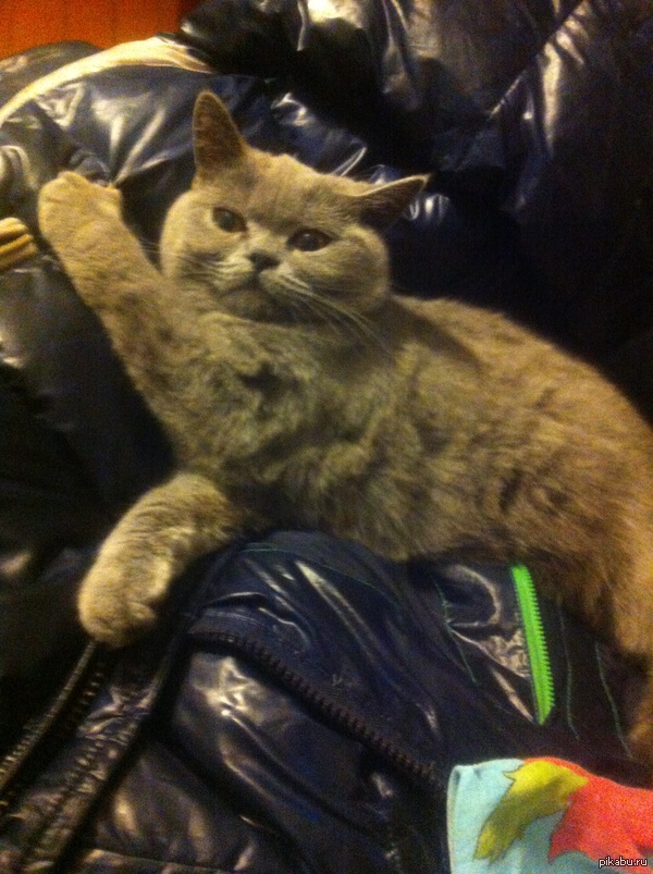 � ������� ������� ����� ��� � �������, � ������ � ���� ������ ����� ������� ��� �����. #3