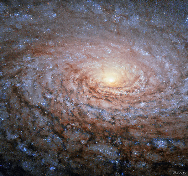 ������������ ����� ����������� ��������� Messier 94