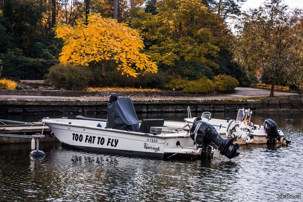 ����� ���� ������!