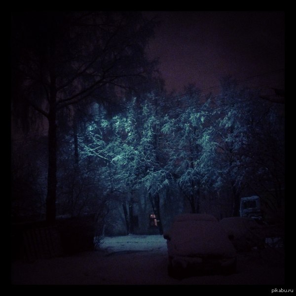 ������ �����