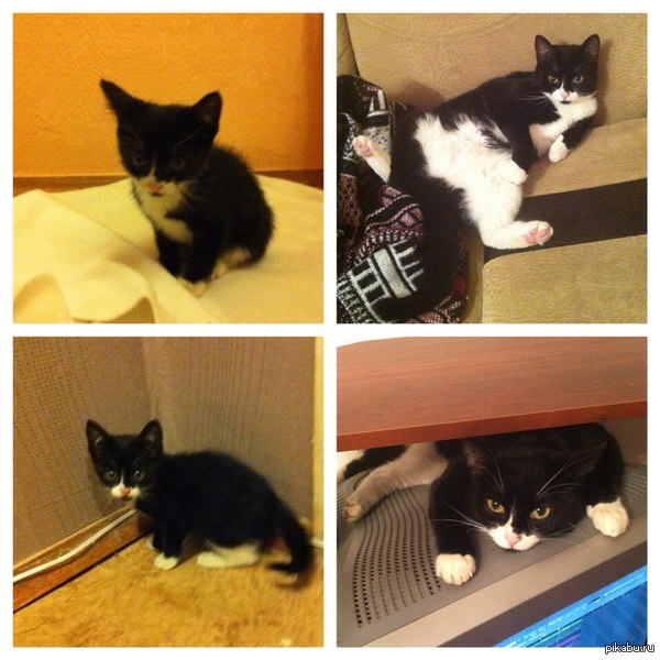 �������� �������.