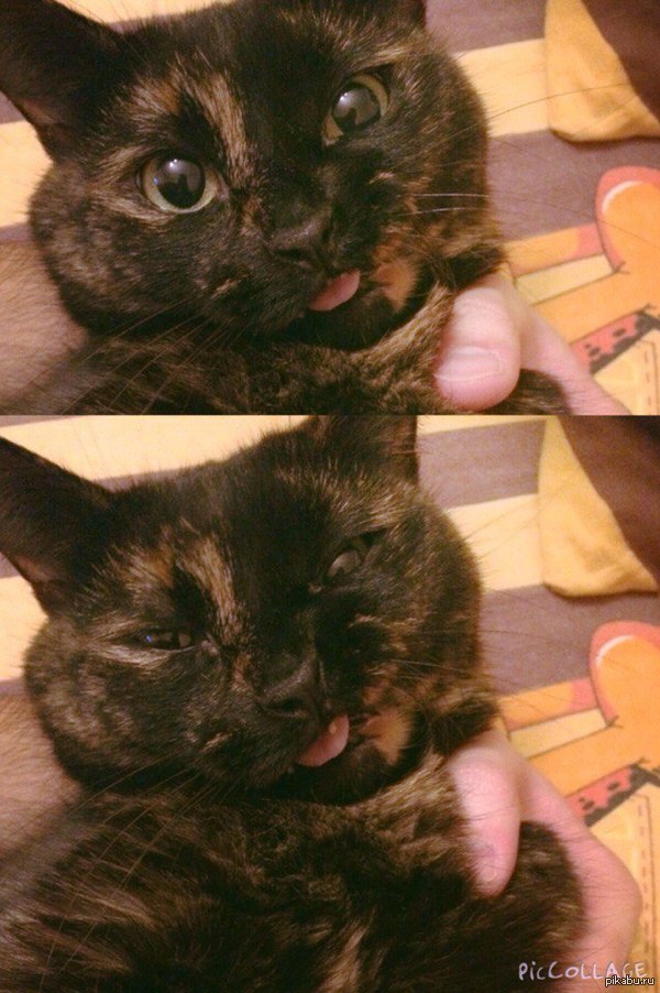 �� ������ �� ��� ����� �������?