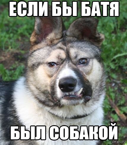 Ебаные Собаки