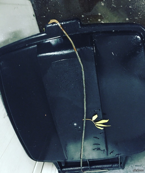 Лига Детективов, взываю Вашей помощи!