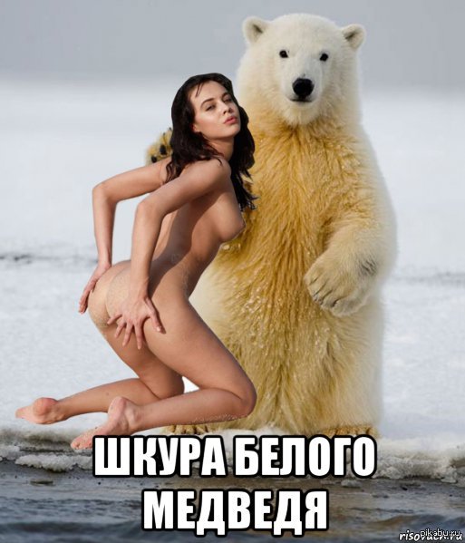 Polar bear skin - NSFW, My, Skin, The Bears, Bear and whore, Joke, Humor, Joke, Memes