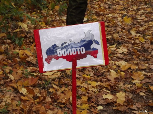 ������, ��������