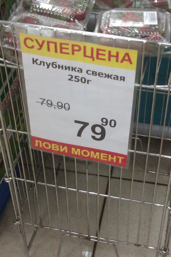 ��������� � ������������