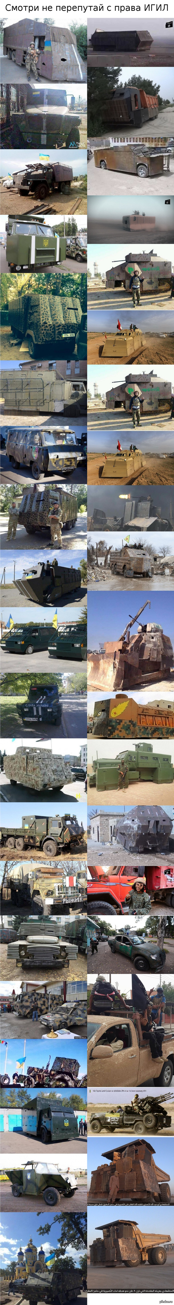 Такие разные...но такие одинаковые | Пикабу