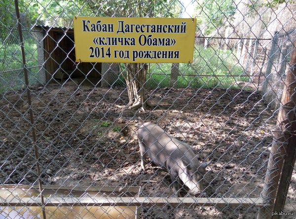 ������� "��� ����� ��������"