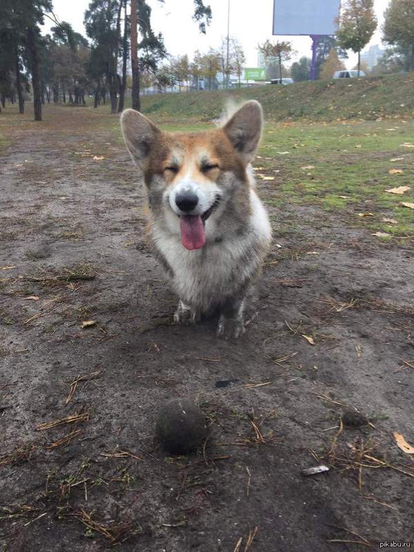      ? :) 