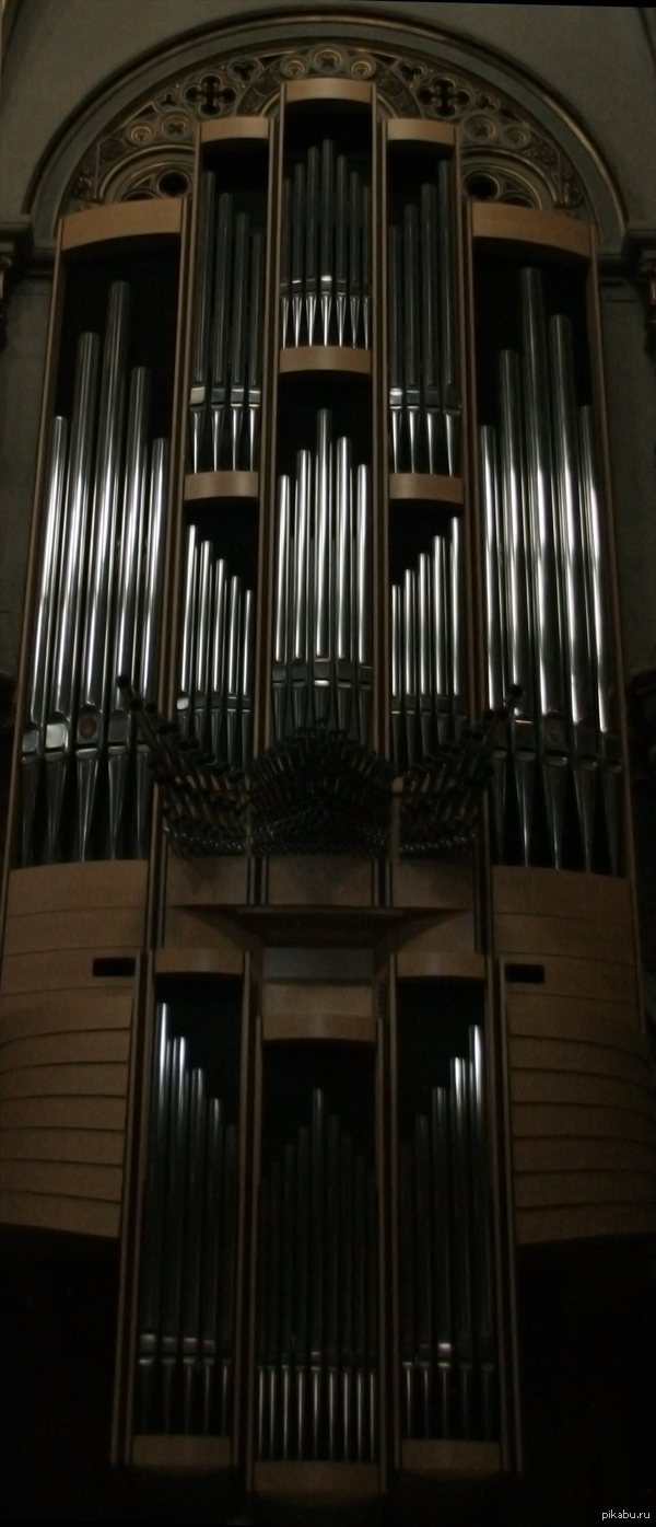 Красивый орган 
