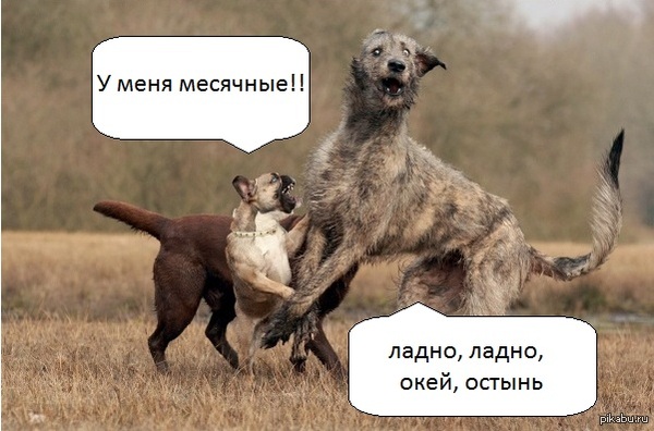 ����� �� ���� �����