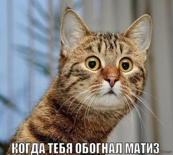 ����� ���� ������� �����)))