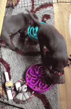   ! 