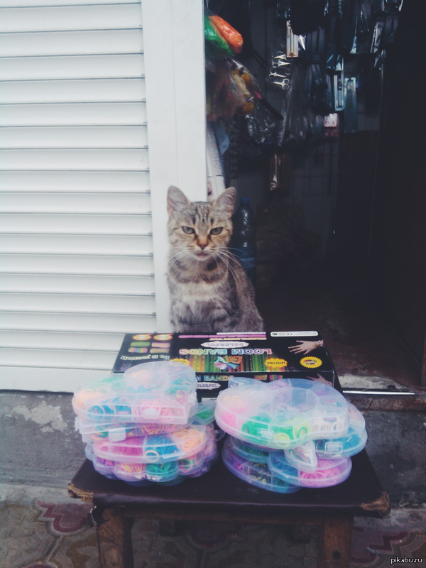 Вот такую очаровательную торговку встретили на рынке :)