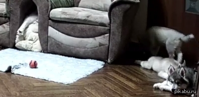 �� ����� ����?