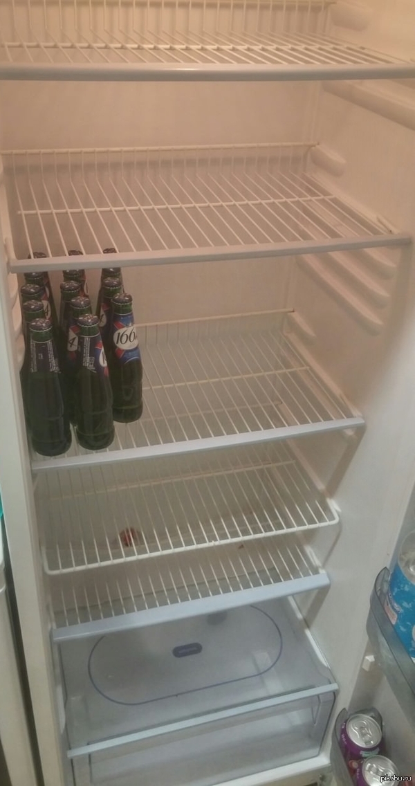 Finally moved out to my own apartment - Humor, Joke, Moved out of my parents, Refrigerator, Beer, Diversity