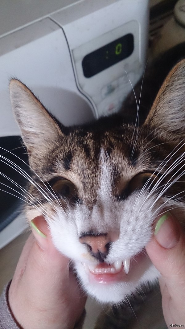 ��������! =)