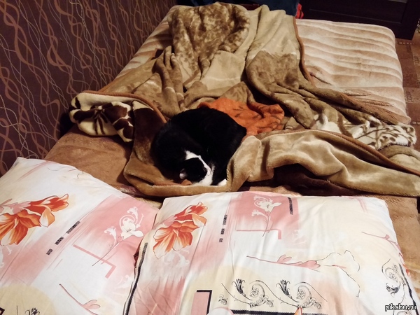 ���� � ���� ����� �������.