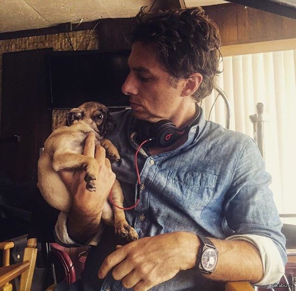 "Скажи, кто украл твою прелесть?"