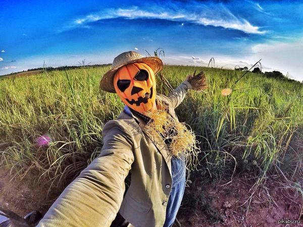 С Хэллоуином господа!))