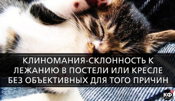 Сколько нас?