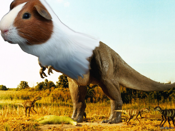 Морсвинкозавр рекс